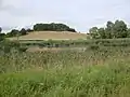 Der Hellersberger Weiher liegt direkt neben der K 78 zwischen Odernheim am Glan und Lettweiler