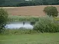 Der Hellersberger Weiher liegt direkt neben der K 78 zwischen Odernheim am Glan und Lettweiler