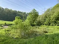 Feuchtbiotop im NSG Ittertal
