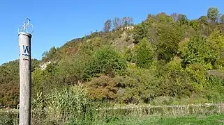 Blick von dem Werratal-Radweg auf den Weinberg