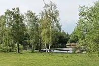 Märwiler Riet