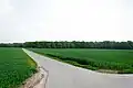NSG am Horizont