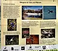 Info Naturschutzgebiet Panzertalsperre