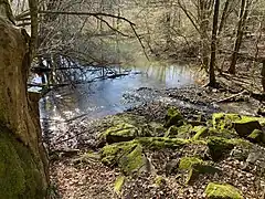 Teich im unteren Steinbachtal