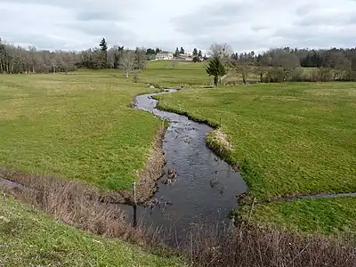 Der Nauzon, Grenzfluss zwischen Saint-Mathieu (links) und Champniers-Reilhac (rechts)