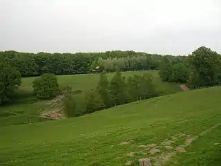 Teil des Wildgeheges