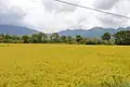 Landschaft bei Kuttralam