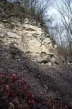 Schwarzjura-Aufschluss am Main-Prallhang bei Nedensdorf nahe Bad Staffelstein/Oberfranken