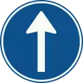 D4: vorgeschriebene Fahrtrichtung – geradeaus