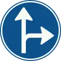 D6: vorgeschriebene Fahrtrichtung – geradeaus und rechts