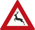 J27: Wildwechsel