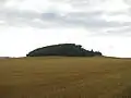 Nenkel