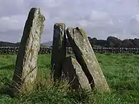 Newton Cairn