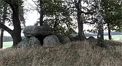 Das Großsteingrab Nettgau