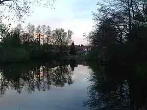 Neudorfer Gemeindeteich in der Abenddämmerung