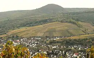 Der Neuenahrer Berg, auf dem sich die Burgreste befinden