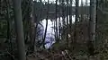 Neuer Weiher