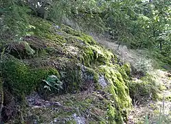 Hochburgplateau. Eingestemmte „Stufen“