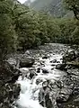 Der Cleddau River direkt vor "The Chasm"