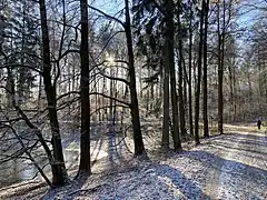 Große Waldflächen umgeben die Neyetalsperre