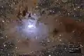 NGC 7023 Iris Nebula