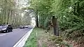 Nico (* 28. Juli 1986) war ein Motorradfahrer aus Oud-Heverlee, der im Juni 2009 einen tödliches Unfall hatte auf der Naamsesteenweg in Blanden