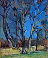 Beem viru bloem Himmel (1927)