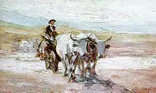 Car cu boi (1899).