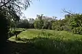 Wiese im Naturschutzgebiet