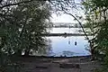 Im Vordergrund die Bucht, dahinter der Rhein