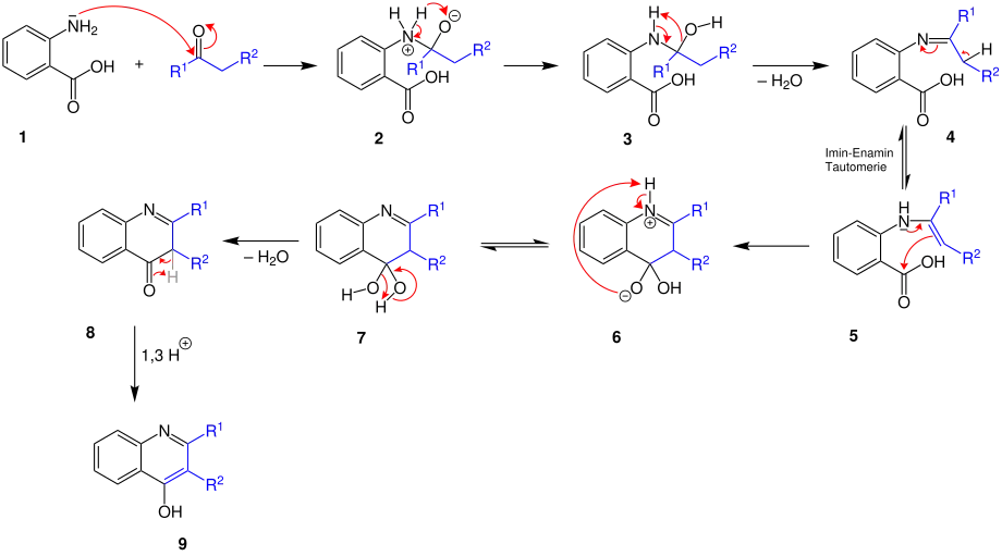 Niementowski-chinolin-Synthese Reaktionsmechanismus