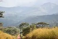 Totalreservat Berg Nimba