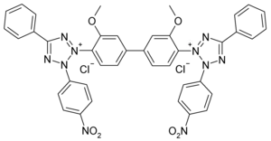 Strukturformel von Nitroblautetrazoliumchlorid