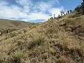 In unberührter Natur in Zentralmexiko