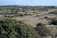 bei Castricum Blickrichtung Süden mit Stahlwerk IJmuiden