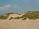 Dünen in Schoorl aan Zee