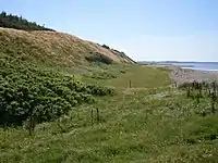 Küstenabschnitt bei Struer