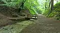 Möschbach im Annatal