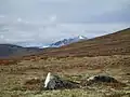 Dovrefjell mit Snøhetta