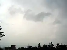 Nimbostratus