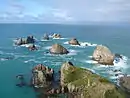Nugget Point