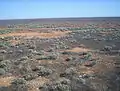 Nullarbor-Ebene vom Indian Pacific aus gesehen (2005)