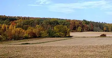 Blick vom Baiertaler Weg Richtung Nordosten auf Wald- und Anbauflächen (Parabraunerde)
