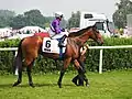 mit Jockey Andrasch Starke vor dem Start