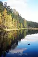 Nuuksio im Herbst