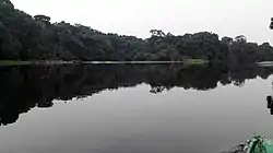 Fluss Nyong