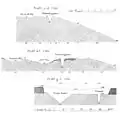Wp 1/48 Profile