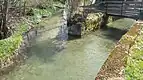 Zusammenfluss von Oberburger Mülibach (links) und Luterbach/Chrouchtalbach