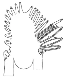 Schnittmuster des linken Schuhes des Mannes von Obenaltendorf aus dem 3. Jahrhundert