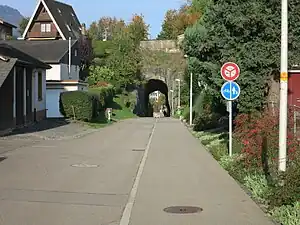 Mühlefluhtunnel